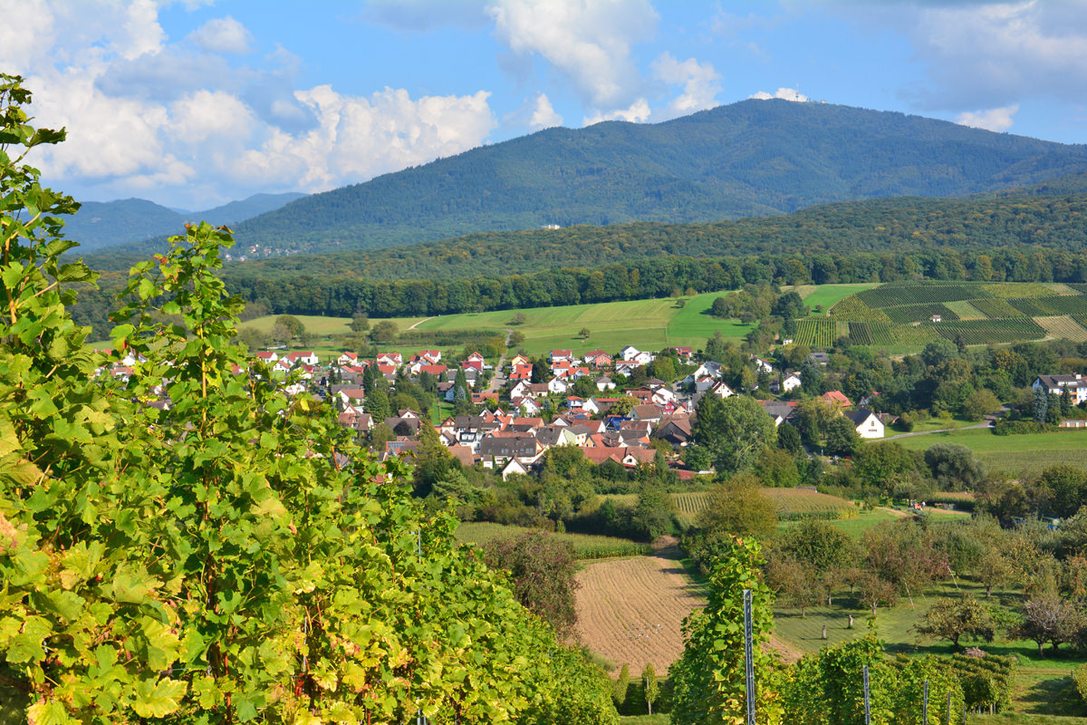 Wine capital in the heart of the Markgräflerland